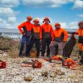 Trabajos Forestales de Podalta: Compromiso con la Reforestación y Conservación del Medio Natural 🌲