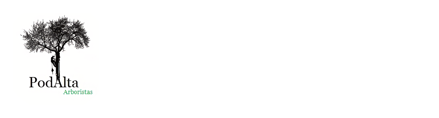 Podalta - Expertos en Poda en Altura y Arboricultura en Madrid