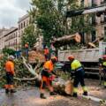 Podalta colabora en la retirada de árboles caídos tras los fuertes vientos